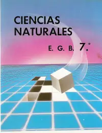 Juego aleatorio
