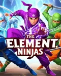 The Element Ninjas