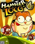 Hamster Loco