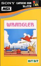 Random game