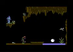 View screenshots