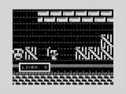 ZX81