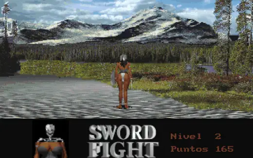 Sword Fight