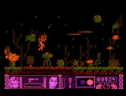 AMSTRAD CPC