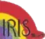 IRIS Soft