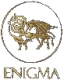 Enigma Software