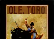 anuncio